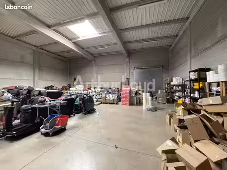 local d'activité 350 m²