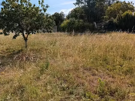 terrain constructible