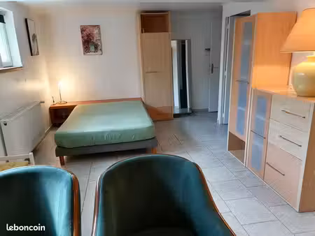 grand studio meublé 35m2