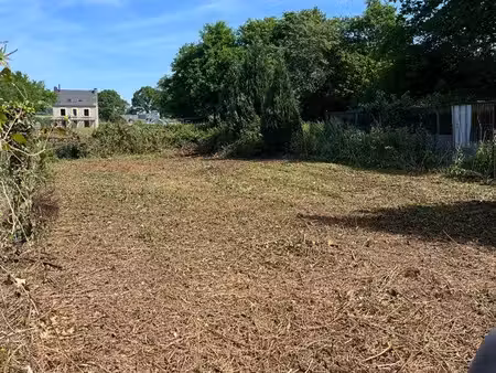 terrain pour animaux