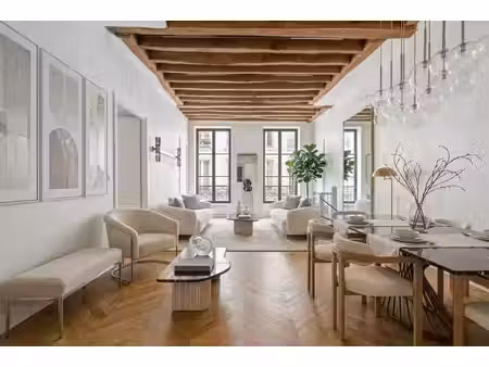magnifique duplex comme une maison à paris 2ème !