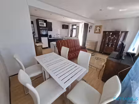maison mitoyenne 50 m² à panissieres