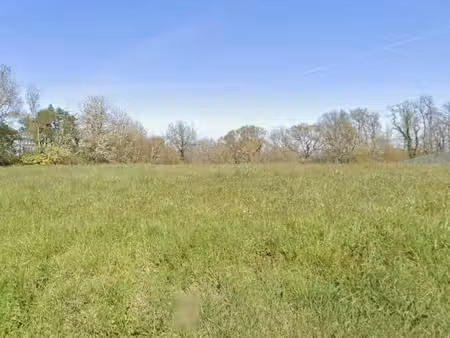 terrain plat 2370m2