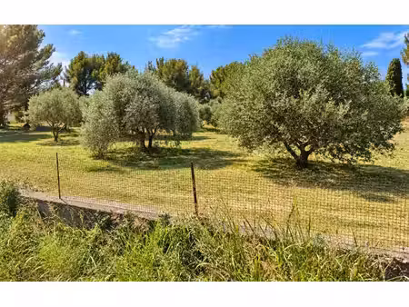 terrain constructible