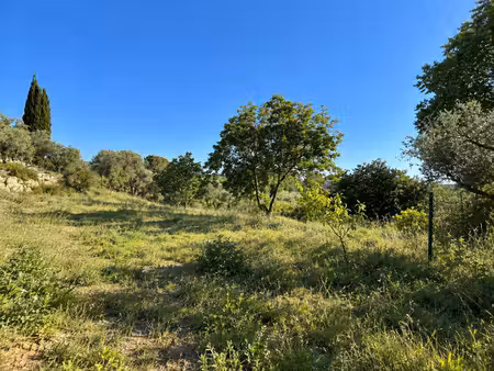 terrain constructible