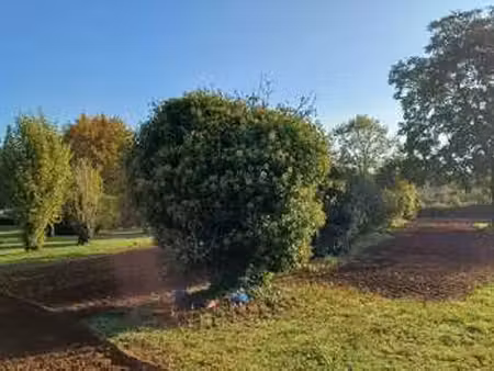 vente terrain à thiré (85210) : à vendre / thiré