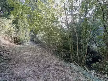 maison 3 chambres avec grande terrasse et terrain de 2 300 m² bordé par une rivière