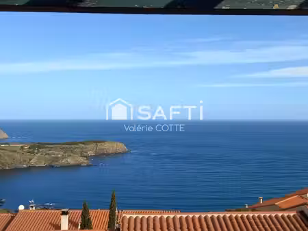 la vue sur la grande bleue...spacieux.....chaleureux