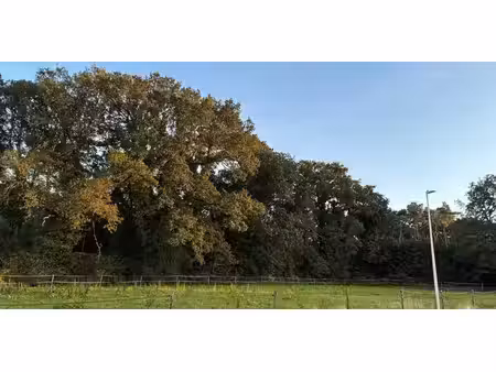 terrain à bâtir à vendre à as pour € 185.000