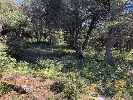 terrain à vendre simiane la rotonde 13700m2 22 000€