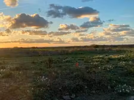 vente terrain à pleurtuit (35730) : à vendre / pleurtuit