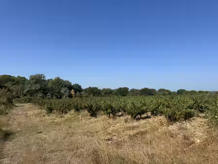 achat terrain 17 310m² souvignargues 30250