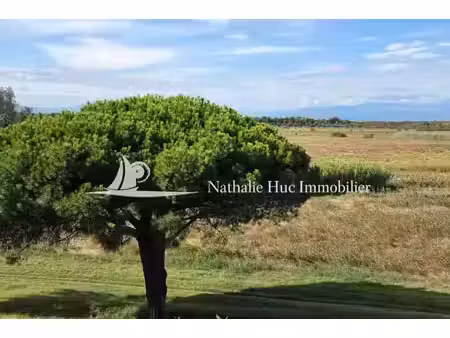 vente appartement 1 pièces 20m2 canet-plage 66140 - 104500 € - surface privée