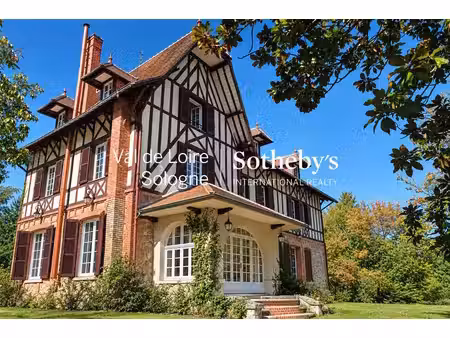 manoir mennetou-sur-cher - 5 chambres - 356m²
