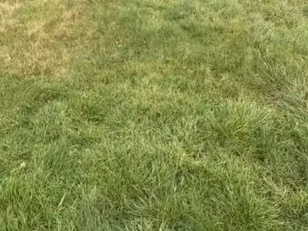 vente terrain à taulé (29670) : à vendre / taulé