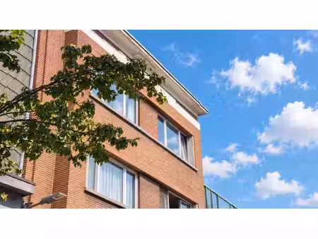 lichtrijk wonen met authentieke charme in oud-berchem