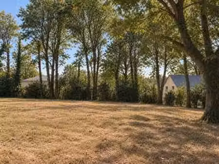 vente terrain à sucé-sur-erdre (44240) : à vendre / 470m² sucé-sur-erdre