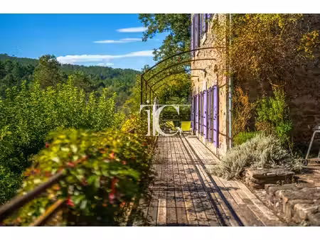 achat maison 19 pièces 379m² banne 07460