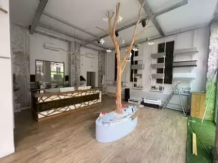 vente bureaux 234m²