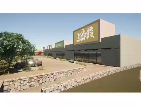 vente commerce pleurtuit 35730 990m²