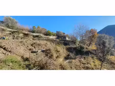 terrain constructible