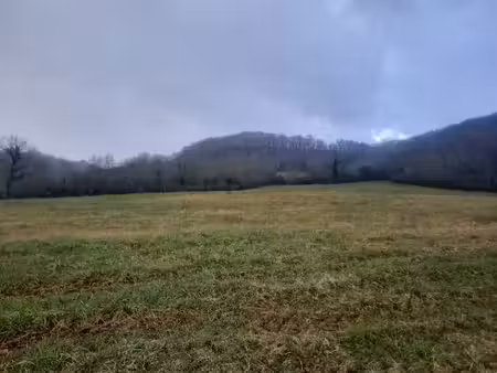 vente terrain 1341 m² à loubressac (46130)  33 525 €