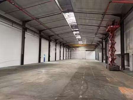vente local d’activités strasbourg 67100 1800m²