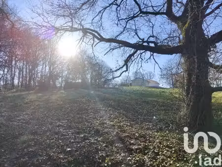 terrain à bâtir à domme (24250)