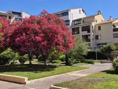 vente appartement 3 pièces piscine à fréjus (83370) : à vendre 3 pièces piscine / 62m² fré