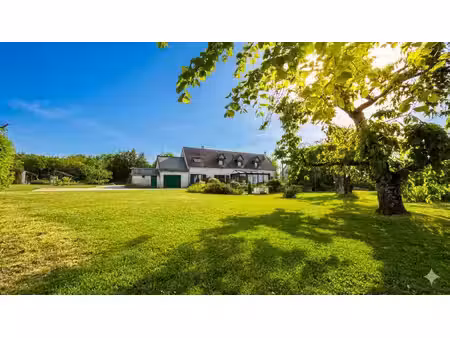 vente maison 7 pièces 168 m² brou (28160)