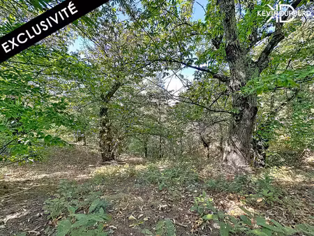 terrain de 1.166m² à saint joseph des bancs
