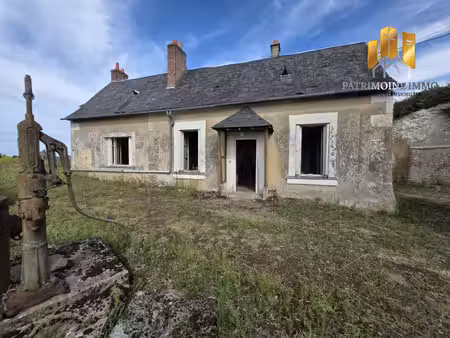 à vendre – maison à rénover avec dépendances – dissay-so