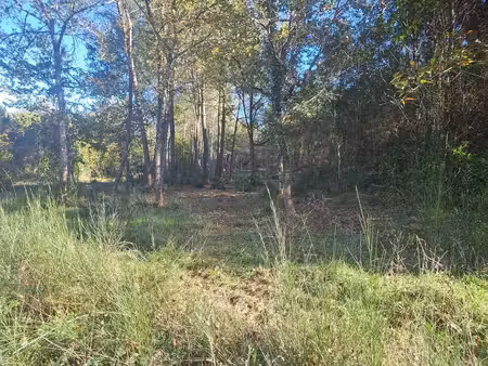 vente terrain saint-sauveur (33250)