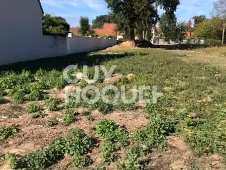 terrain favieres 2160 m2