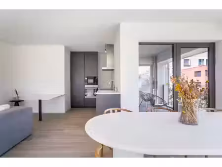 appartement te huur in mortsel met 3 slaapkamers