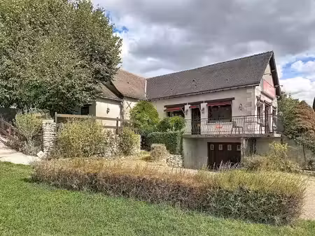 vente locaux professionnels 150 m² à montlouis-sur-loire (37270)  160 000 €