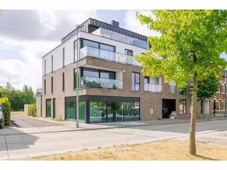commercieel te huur in berchem