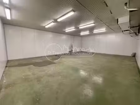 vente locaux professionnels 20 pièces 1531 m² à perpignan (66000)  745 000 €