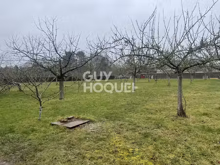 terrain menneval 1000 m2