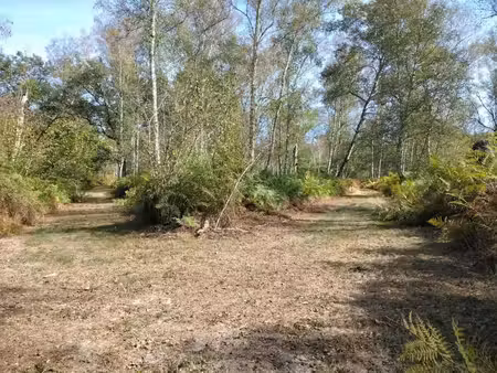 vente terrain 159251 m² la ferté-saint-aubin (45240)