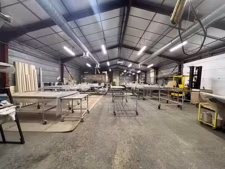 vente local d’activités beynost 01700 676m²