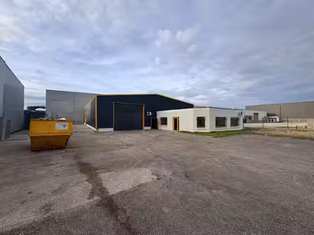 vente local d’activités pusignan 69330 620m²