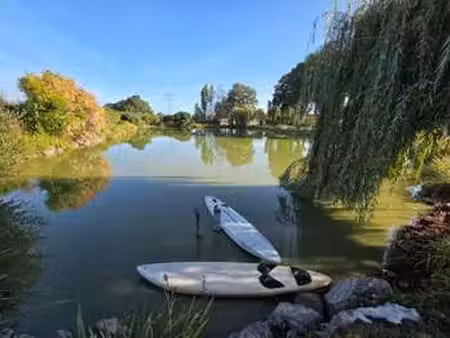 vente terrain à martigné-sur-mayenne (53470) : à vendre / martigné-sur-mayenne