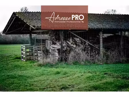 vente commerce ploumoguer 29810 166m²
