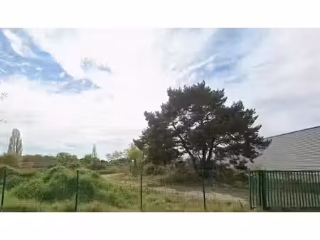 vente terrain jargeau 45150 6233m²