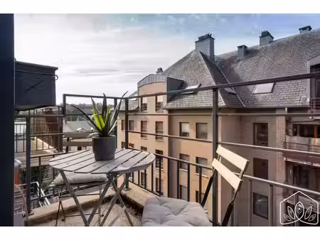 appartement 2 ch. très lumineux avec terrasse et cave