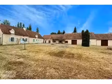 vente maison 10 pièces 312 m² à martizay (36220)  319 200 €