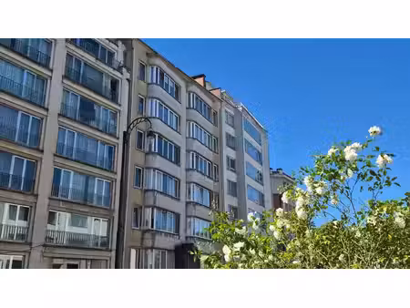 ixelles  roosevelt 125m² habitables  2 chambres.