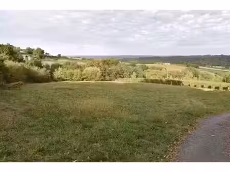 vente terrain 6610 m² lucq-de-béarn (64360)