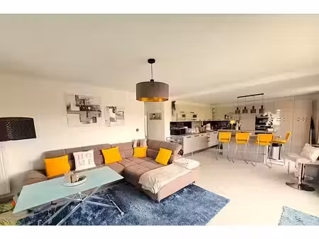appartement erstein 3/4 pièce(s) 87.88 m2  terrasse de 80m2